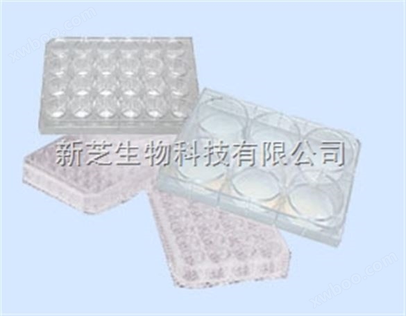 北京六一细胞培养板WD-2107|细胞培养板报价