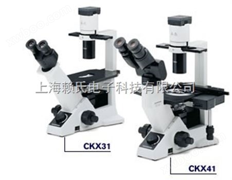 OLYMPUS CKX41-A32PH倒置显微镜接成像设备