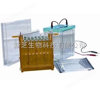 北京六一双向电泳槽DYCZ-26C/电泳仪/聚碳酸脂注塑成型现货销售