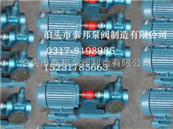 *工艺生产圆弧齿轮泵YCB-1.6/0.6