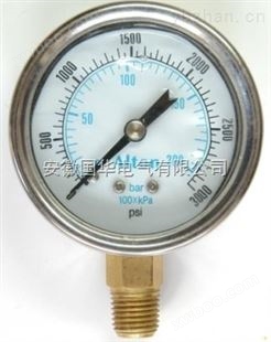 YN-100耐震压力表YN-100耐震压力表