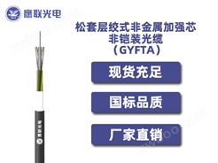 GYFTA-134~144芯，松套层绞式非金属加强芯非铠装光缆 ，室外光缆价格