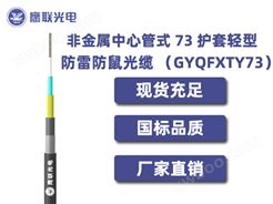 GYQFXTY73-12~24芯，非金属中心管式 73 护套轻型防雷防鼠光缆，室外光缆价格