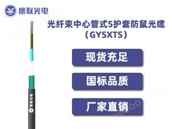 GYSXTS-48芯，光纤束中心管式S护套防鼠光缆，电力光缆厂家，室外光缆价格