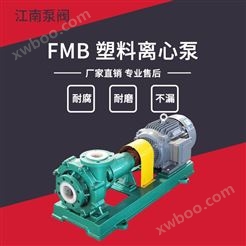 JN/江南 卧式工程塑料离心泵 压滤机颗粒入料泵 料浆泵 FMB65-50-125