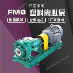 JN/江南 FMB100-80-125 工程塑料料浆泵 盐酸输送泵 单级离心系列泵