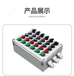 BXK-T0.75kw防爆配电控制箱