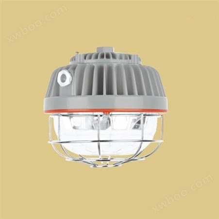 BZD180-107系列防爆免维护LED照明灯（IIC)
