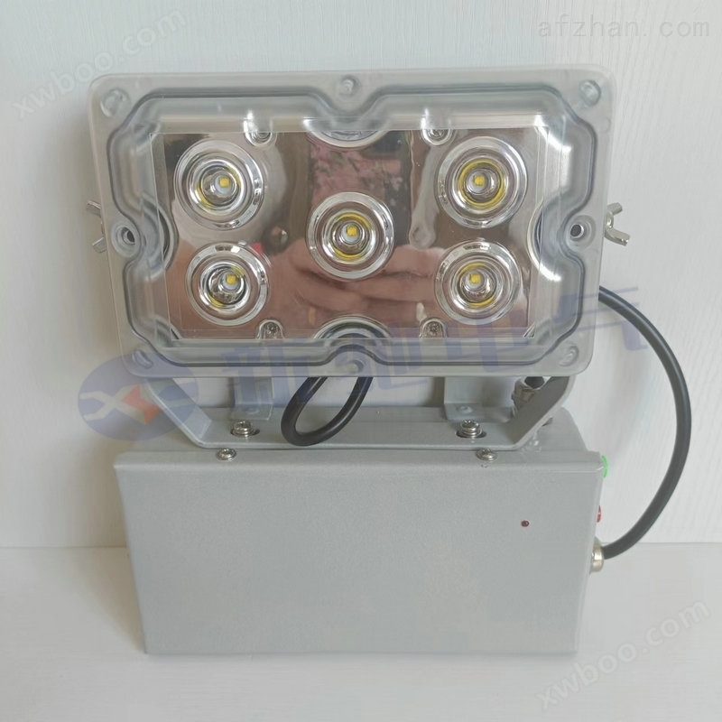 壁挂式GAD605-J固态应急照明灯LED低顶灯