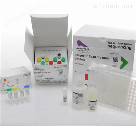 人β1肾上腺素能受体（β1AR）抗体ELISA试剂盒