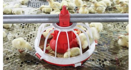 现代化自动养鸡场设备全览
